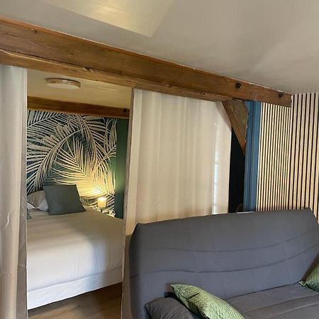 Apartamento La Palme Bleue - 5 Mn Du Zooparc De Beauval Saint-Aignan  Exterior foto