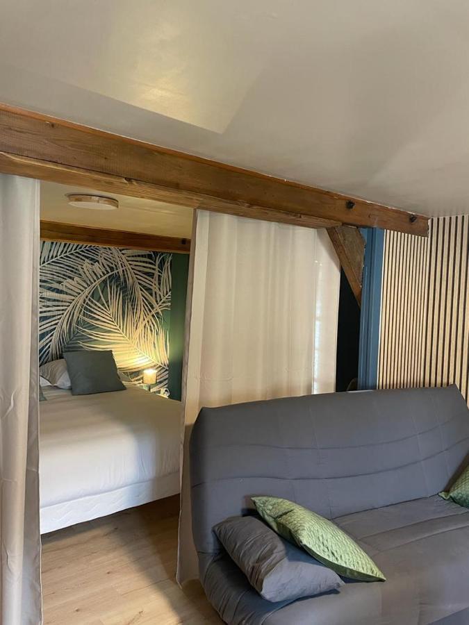 Apartamento La Palme Bleue - 5 Mn Du Zooparc De Beauval Saint-Aignan  Exterior foto