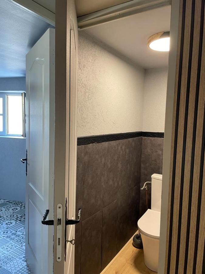 Apartamento La Palme Bleue - 5 Mn Du Zooparc De Beauval Saint-Aignan  Exterior foto